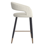 Carmine 26" Counter Stool (Set of 2)