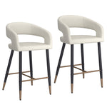 Carmine 26" Counter Stool (Set of 2)